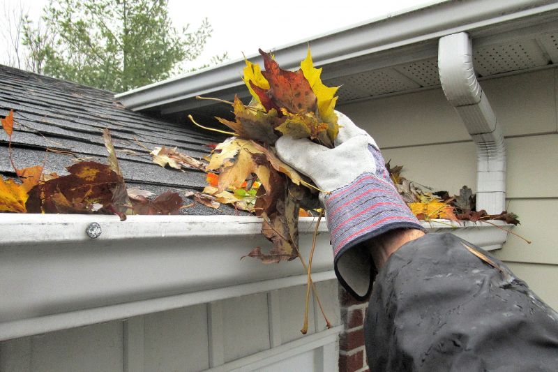Gutter Pine Needle Removal in Fredericksburg, VA