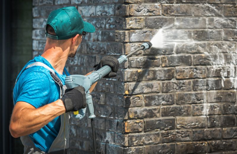 Removing Mold from Masonry