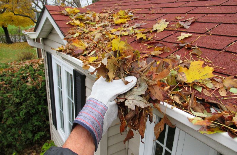 Roof Gutter Cleaning in Monmouth County, NJ